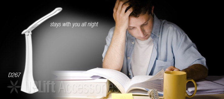 Rechargeable Desk LED Lamp (D267)