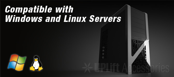 Dual Core Thin Client