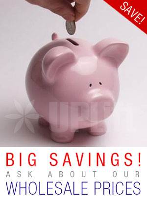 Write us an email to know our wholesale prices. Wholesale Prices Available